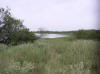 Main Photo - Acreage in Kenedy County, Texas
